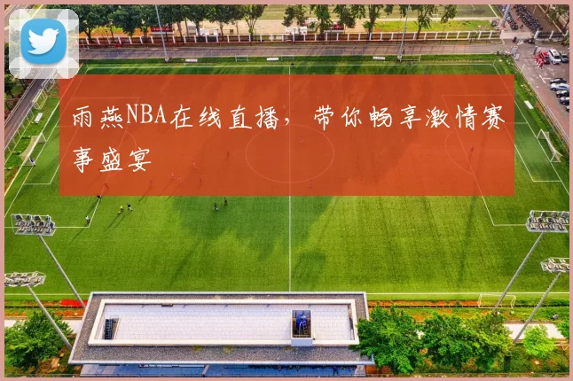 雨燕NBA在线直播，带你畅享激情赛事盛宴