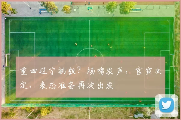 重回辽宁执教？杨鸣发声，官宣决定，表态准备再次出发