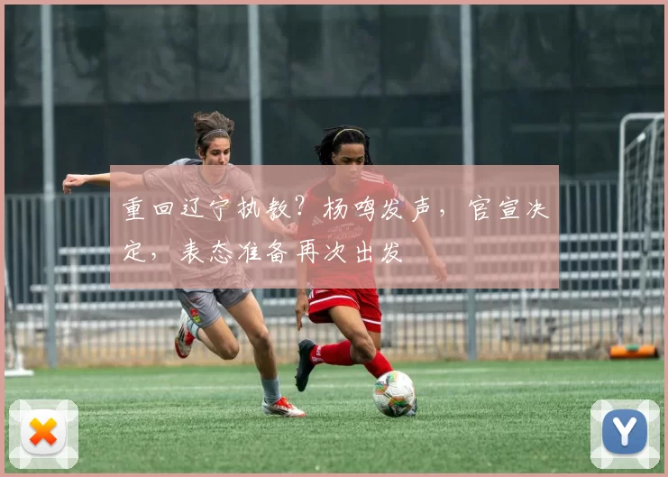 重回辽宁执教?杨鸣发声,官宣决定,表态准备再次出发