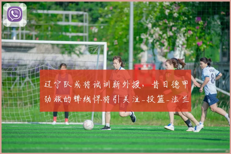 辽宁队或将试训新外援，昔日德甲劲旅的锋线悍将引关注_投篮_法兰克福_航班