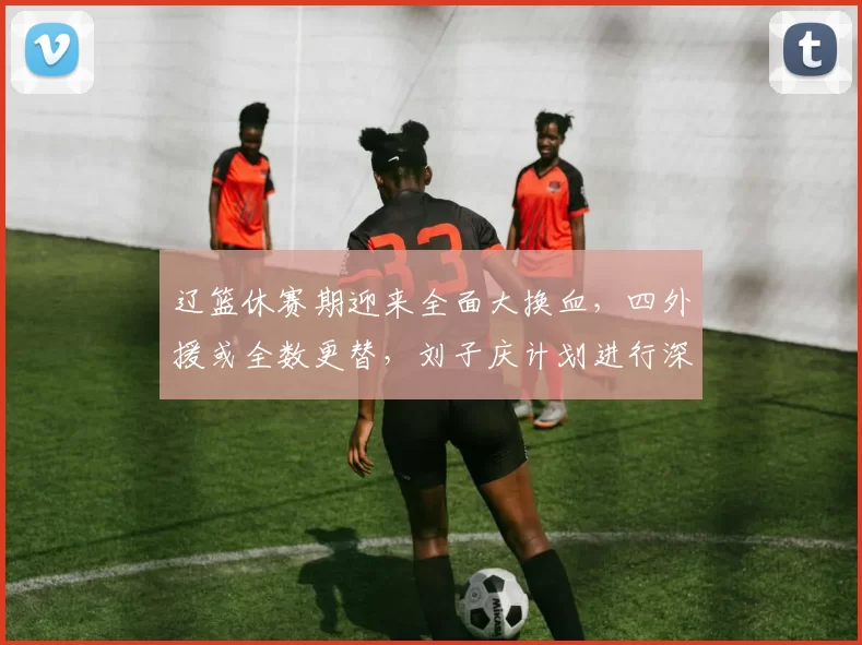 辽篮休赛期迎来全面大换血，四外援或全数更替，刘子庆计划进行深度改革