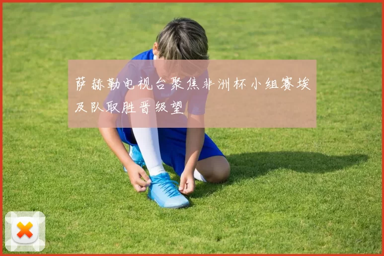 萨赫勒电视台聚焦非洲杯小组赛埃及队取胜晋级望