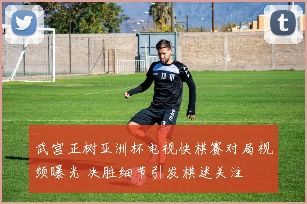 武宫正树亚洲杯电视快棋赛对局视频曝光 决胜细节引发棋迷关注