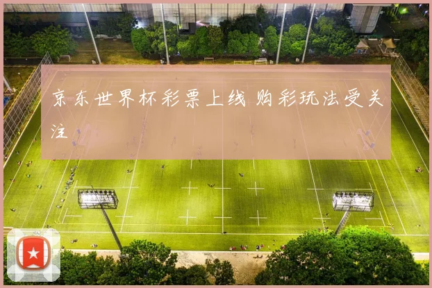 京东世界杯彩票上线 购彩玩法受关注
