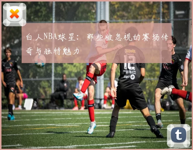 白人NBA球星：那些被忽视的赛场传奇与独特魅力