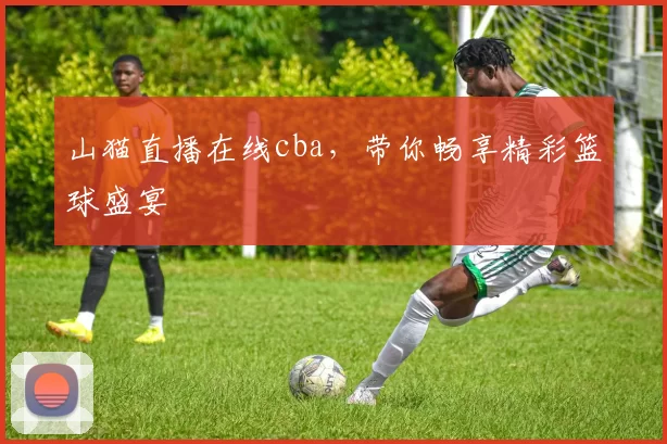 山猫直播在线cba，带你畅享精彩篮球盛宴