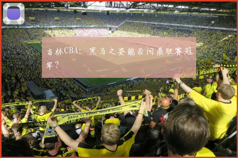 吉林CBA：黑马之姿能否问鼎联赛冠军？