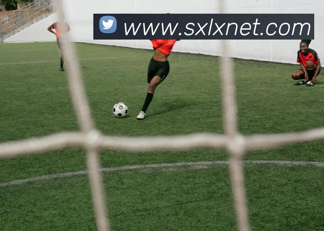 开云(中国)Kaiyun·官方网站 - 登录入口服务体系